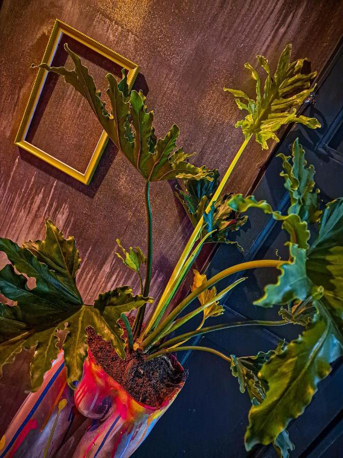 Urban Hostal Bar Bucaramanga Bagian luar foto